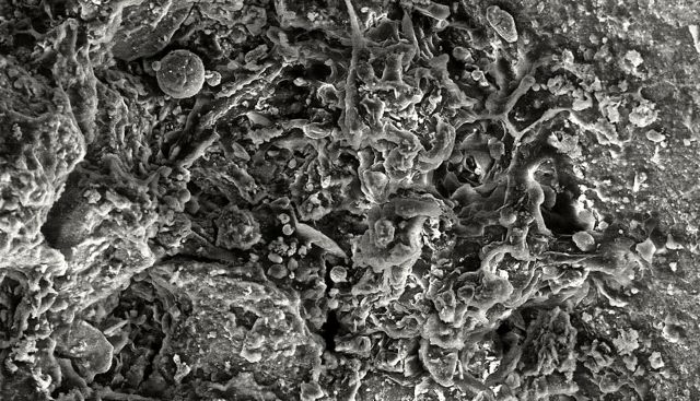 Auschwitz barracks.jpg