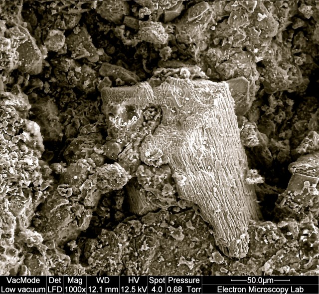 Dachau Brick SEM1.jpg